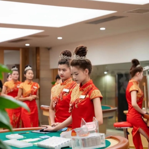 华纳公司客服专业服务团队